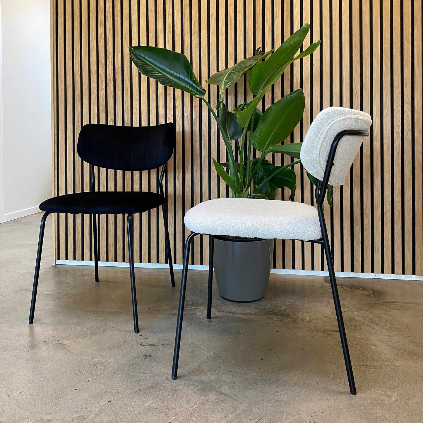 Lucia - Chaise de salle à manger en velours noir
